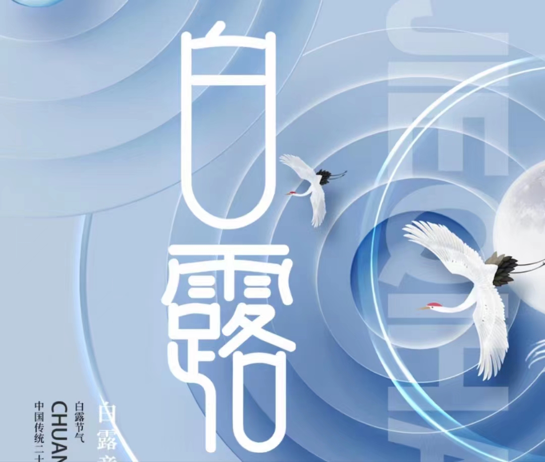 蒹葭蒼蒼，白露為霜